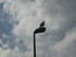 S COMME SAINT QUAY PORTRIEUX -