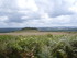 M COMME MONTS D'ARREE - FINIST