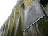 M COMME MONT SAINT MICHEL (4) 