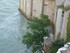 M COMME MONT SAINT MICHEL (7) 