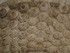 G COMME GLANUM - ST REMY DE PC