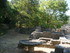 G COMME GLANUM - ST REMY DE PC