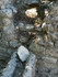 G COMME GLANUM (2) - ST REMY D