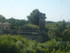 R COMME REMOULINS (3) - GARD -