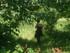 R COMME REMOULINS (4) - GARD -