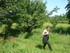 R COMME REMOULINS (4) - GARD -
