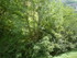 R COMME ROCAMADOUR (17) - LOT 