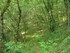 R COMME ROCAMADOUR (17) - LOT 