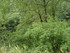 R COMME ROCAMADOUR (19) - LOT 