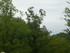 R COMME ROCAMADOUR (19) - LOT 
