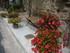 V COMME VILLENEUVE SUR TARN - 