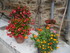V COMME VILLENEUVE SUR TARN - 