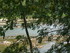 V COMME VILLENEUVE SUR TARN (2