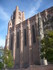 A COMME ALBI (2) - TARN - FRAN