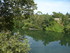 A COMME ALBI (5) - TARN - FRAN