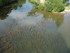 A COMME ALBI (6) - TARN - FRAN