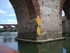 A COMME ALBI (7) - TARN - FRAN