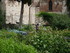 A COMME ALBI (7) - TARN - FRAN