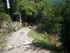A COMME AMBIALET - TARN - FRAN
