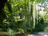 B COMME BROUSSE LE CHATEAU - A