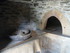B COMME BROUSSE LE CHATEAU (3)