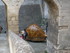 T COMME TARASCON (12) - BOUCHE