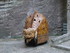 T COMME TARASCON (12) - BOUCHE
