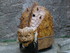 T COMME TARASCON (12) - BOUCHE