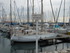 P COMME PORT DE BOUC (3) - BOU