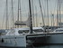 P COMME PORT DE BOUC (3) - BOU