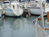 P COMME PORT DE BOUC (3) - BOU