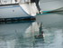 P COMME PORT DE BOUC (3) - BOU