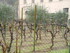 S COMME SAINT GUILHEM LE DÉSE
