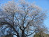 G COMME MONASTERE DE GANAGOBIE