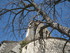 L COMME LURS (3) - ALPES DE HA