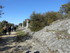 L COMME LURS (4) - ALPES DE HA