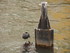 S COMME STRASBOURG (8) - BAS R