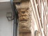S COMME STRASBOURG (8) - BAS R