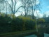 S COMME STRASBOURG (8) - BAS R