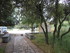 A COMME ABBAYE DE SAINT ROMAN,