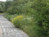 A COMME ABBAYE DE SAINT ROMAN,