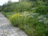 A COMME ABBAYE DE SAINT ROMAN,