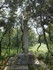 A COMME ABBAYE DE SAINT ROMAN,
