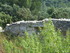 A COMME ABBAYE DE SAINT ROMAN 
