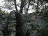 A COMME ABBAYE DE SAINT ROMAN 