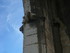 B COMME BEAUCAIRE - GARD - FRA