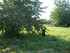 R COMME REMOULINS (5) - GARD -