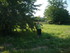 R COMME REMOULINS (5) - GARD -