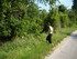 R COMME REMOULINS (5) - GARD -