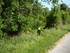 R COMME REMOULINS (5) - GARD -